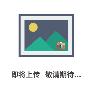 Fermentas 蛋白預(yù)染Marker10-250KD 26619/SM1811